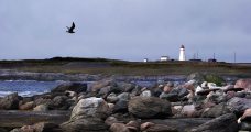 Lighthouse, Cape Ray, Newfoundland